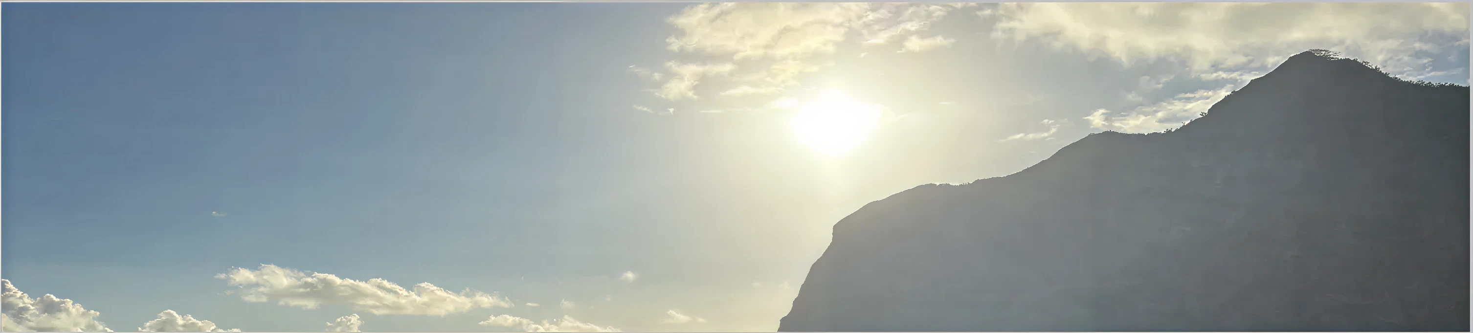 Hawaii probate attorney testimonial background